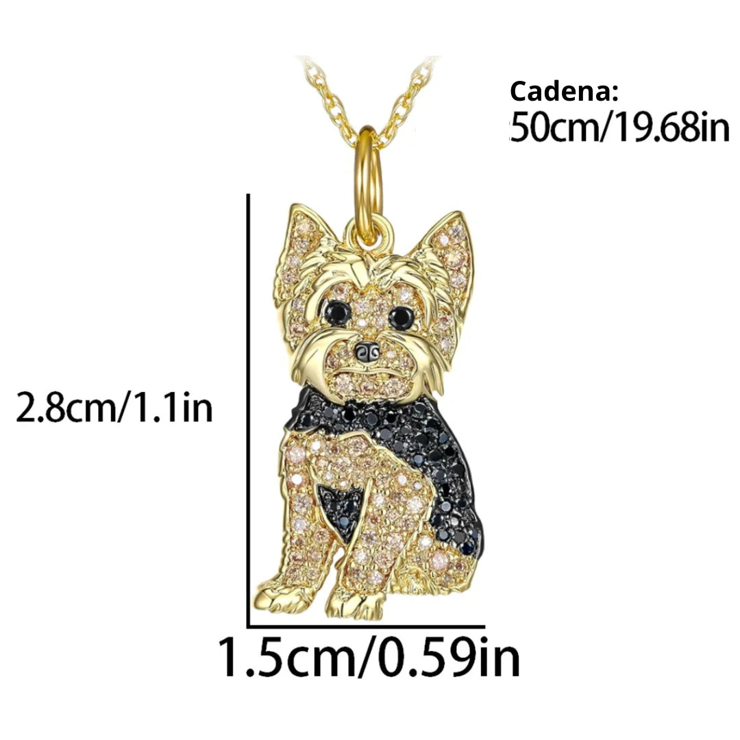Collar Yorkie Love